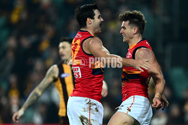 AFL 2025 Round 14 - Hawthorn v Adelaide - A-60008598