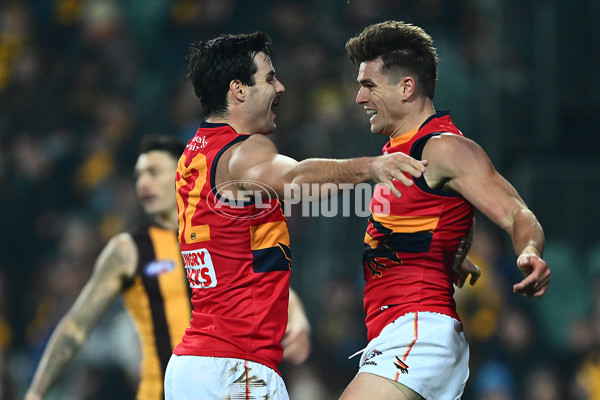 AFL 2025 Round 14 - Hawthorn v Adelaide - A-60008599