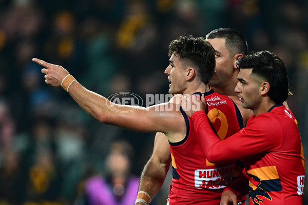 AFL 2025 Round 14 - Hawthorn v Adelaide - A-60008601