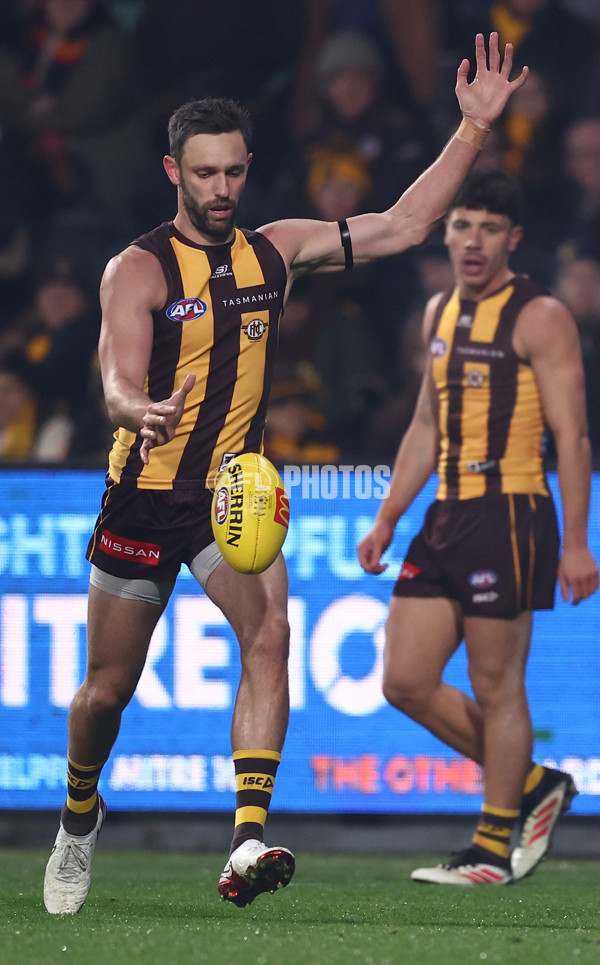 AFL 2025 Round 14 - Hawthorn v Adelaide - A-60008603
