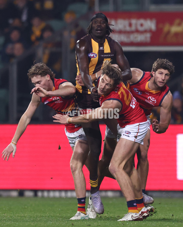 AFL 2025 Round 14 - Hawthorn v Adelaide - A-60008606