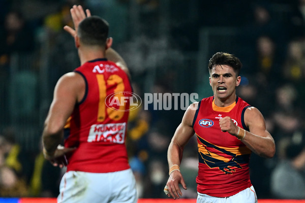 AFL 2025 Round 14 - Hawthorn v Adelaide - A-60008610