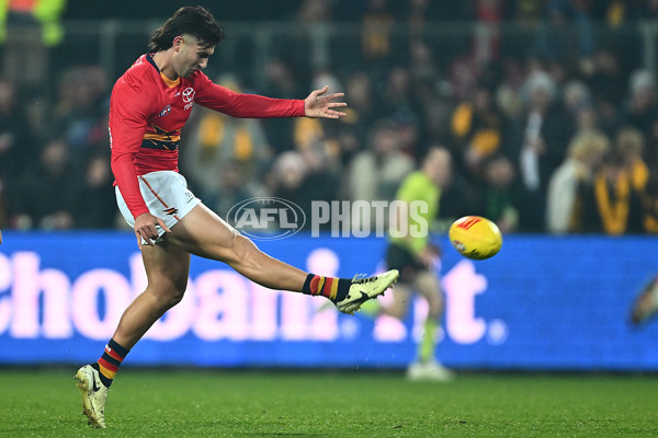 AFL 2025 Round 14 - Hawthorn v Adelaide - A-60008611