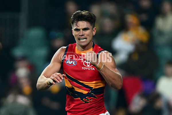 AFL 2025 Round 14 - Hawthorn v Adelaide - A-60008614