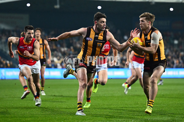 AFL 2025 Round 14 - Hawthorn v Adelaide - A-60008626