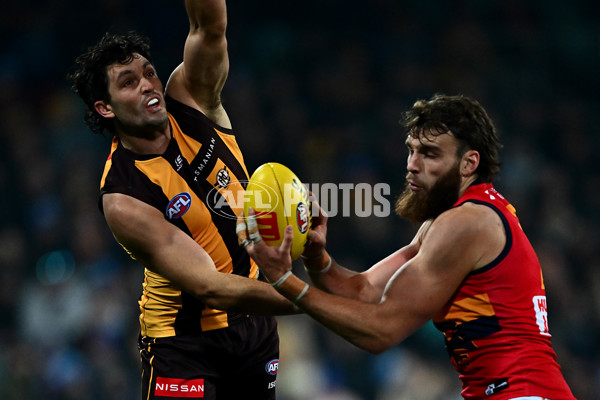 AFL 2025 Round 14 - Hawthorn v Adelaide - A-60008627