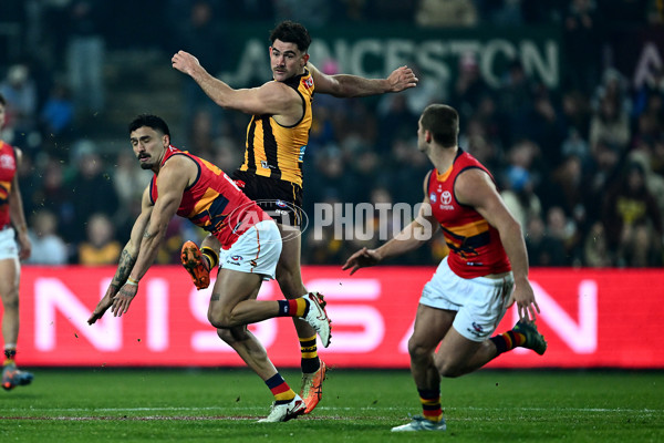 AFL 2025 Round 14 - Hawthorn v Adelaide - A-60008641