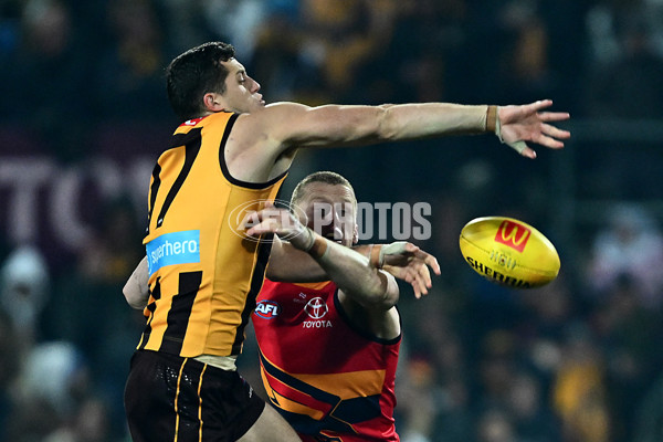 AFL 2025 Round 14 - Hawthorn v Adelaide - A-60008644