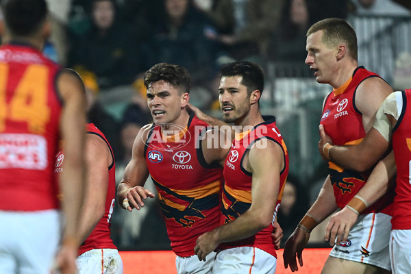 AFL 2025 Round 14 - Hawthorn v Adelaide - A-60009888