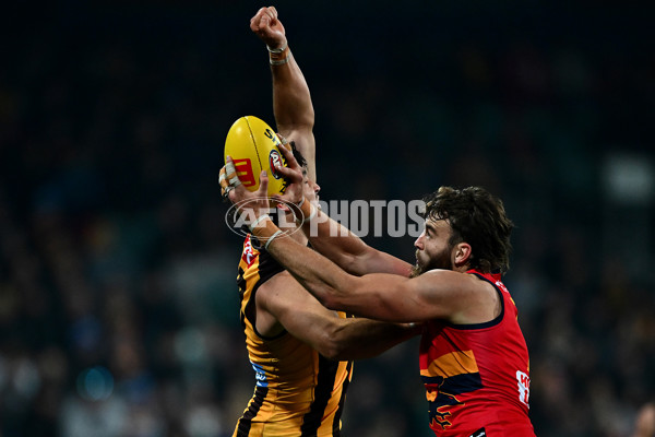 AFL 2025 Round 14 - Hawthorn v Adelaide - A-60009891