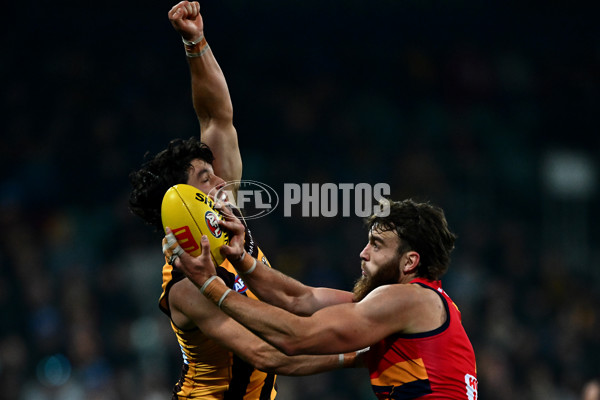 AFL 2025 Round 14 - Hawthorn v Adelaide - A-60009894