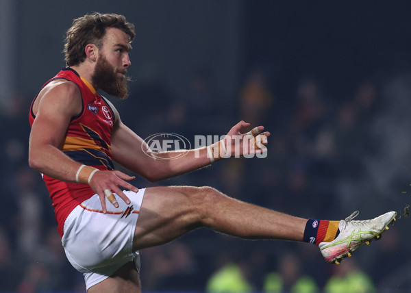 AFL 2025 Round 14 - Hawthorn v Adelaide - A-60009907