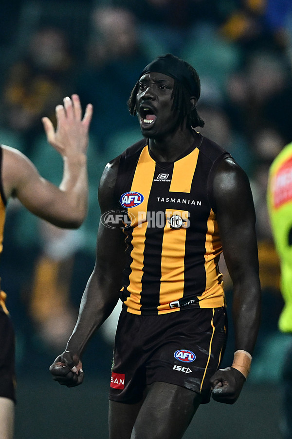 AFL 2025 Round 14 - Hawthorn v Adelaide - A-60009914