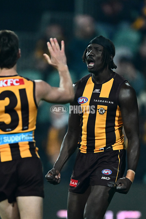 AFL 2025 Round 14 - Hawthorn v Adelaide - A-60009915