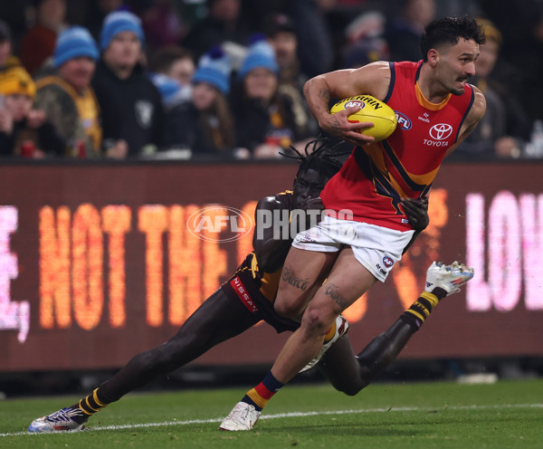 AFL 2025 Round 14 - Hawthorn v Adelaide - A-60009918