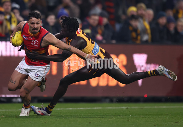 AFL 2025 Round 14 - Hawthorn v Adelaide - A-60009920