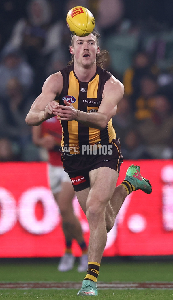 AFL 2025 Round 14 - Hawthorn v Adelaide - A-60009924
