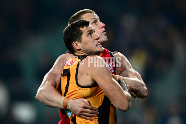AFL 2025 Round 14 - Hawthorn v Adelaide - A-60009927