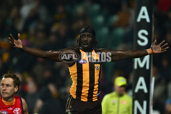 AFL 2025 Round 14 - Hawthorn v Adelaide - A-60009929