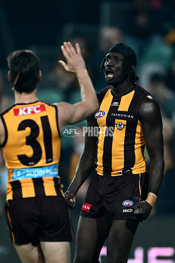 AFL 2025 Round 14 - Hawthorn v Adelaide - A-60009933