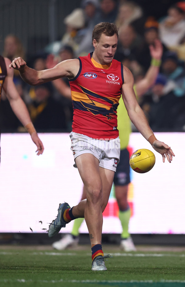 AFL 2025 Round 14 - Hawthorn v Adelaide - A-60009948