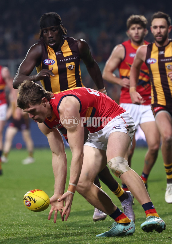 AFL 2025 Round 14 - Hawthorn v Adelaide - A-60009951