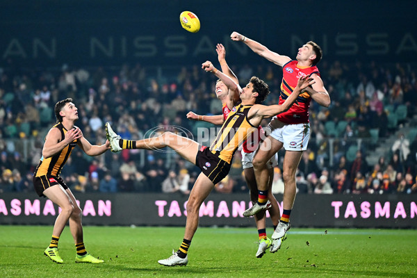 AFL 2025 Round 14 - Hawthorn v Adelaide - A-60009954