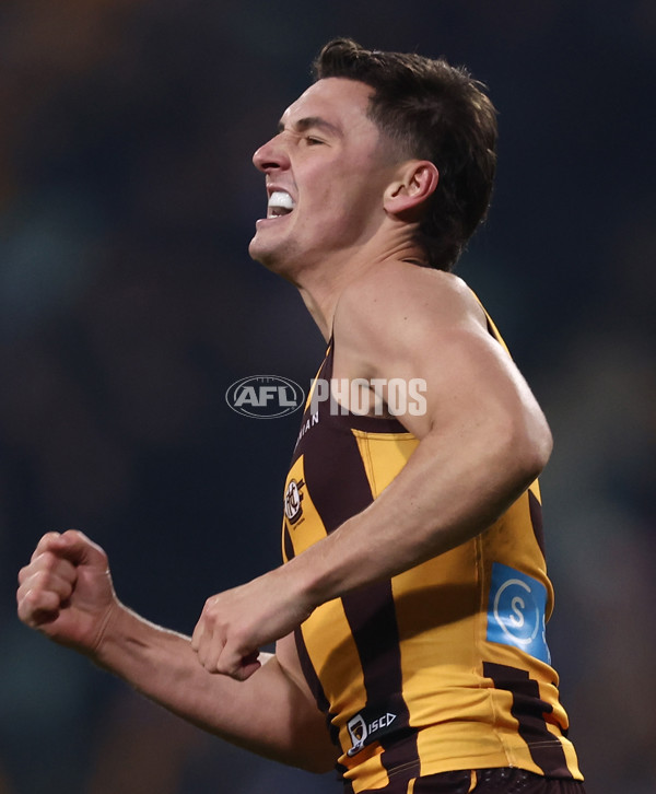 AFL 2025 Round 14 - Hawthorn v Adelaide - A-60009957
