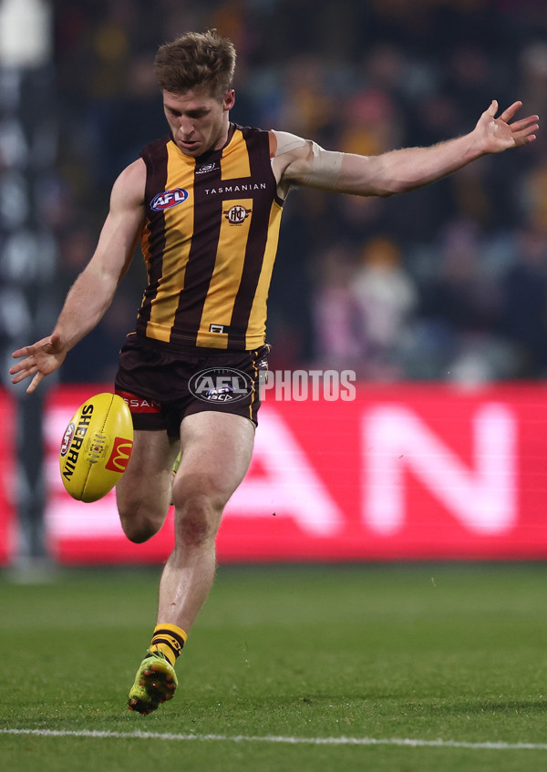 AFL 2025 Round 14 - Hawthorn v Adelaide - A-60011794