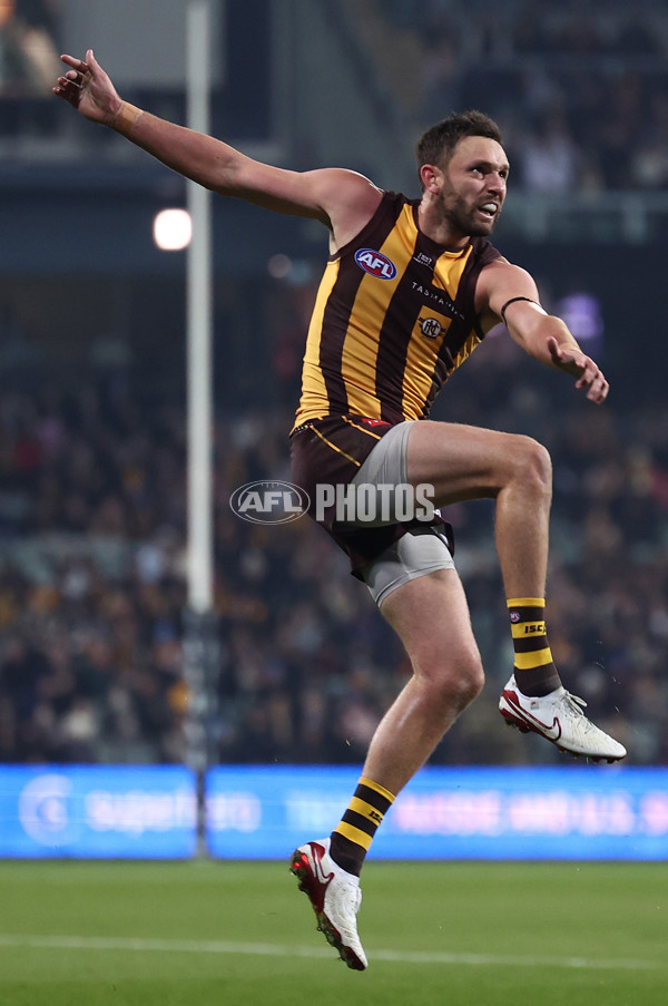 AFL 2025 Round 14 - Hawthorn v Adelaide - A-60011799