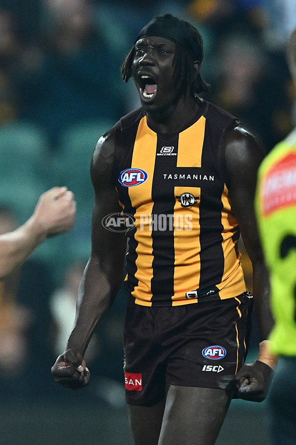 AFL 2025 Round 14 - Hawthorn v Adelaide - A-60011813