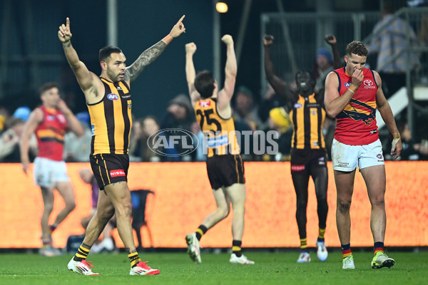 AFL 2025 Round 14 - Hawthorn v Adelaide - A-60011819