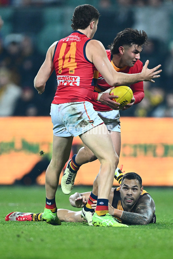 AFL 2025 Round 14 - Hawthorn v Adelaide - A-60011852