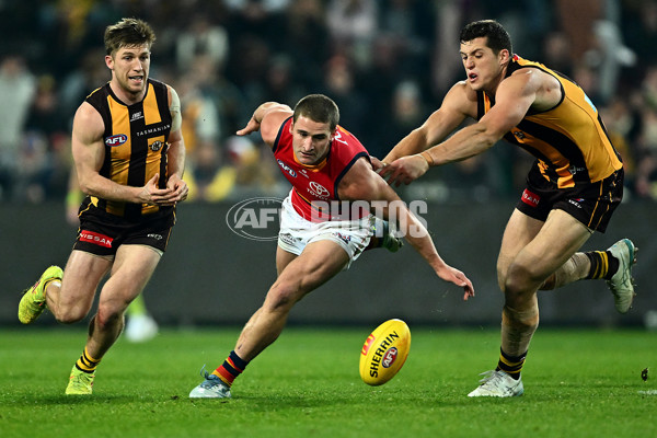AFL 2025 Round 14 - Hawthorn v Adelaide - A-60011855