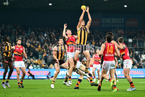 AFL 2025 Round 14 - Hawthorn v Adelaide - A-60011866