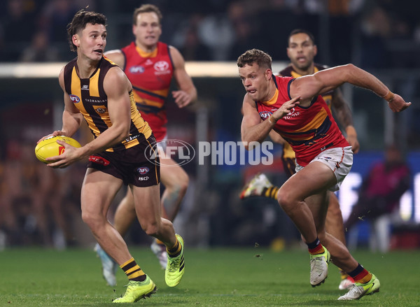 AFL 2025 Round 14 - Hawthorn v Adelaide - A-60012486