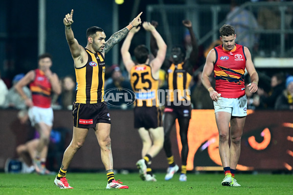 AFL 2025 Round 14 - Hawthorn v Adelaide - A-60012500