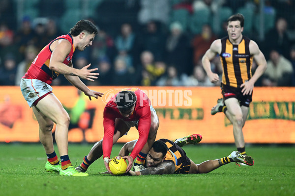 AFL 2025 Round 14 - Hawthorn v Adelaide - A-60012529