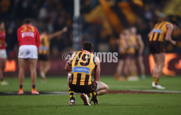 AFL 2025 Round 14 - Hawthorn v Adelaide - A-60012531