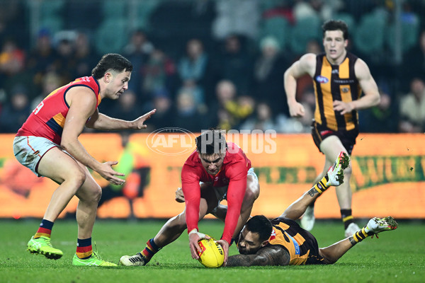AFL 2025 Round 14 - Hawthorn v Adelaide - A-60012539