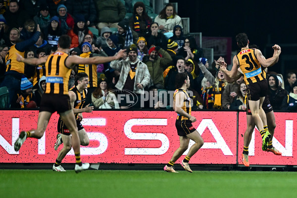 AFL 2025 Round 14 - Hawthorn v Adelaide - A-60012541