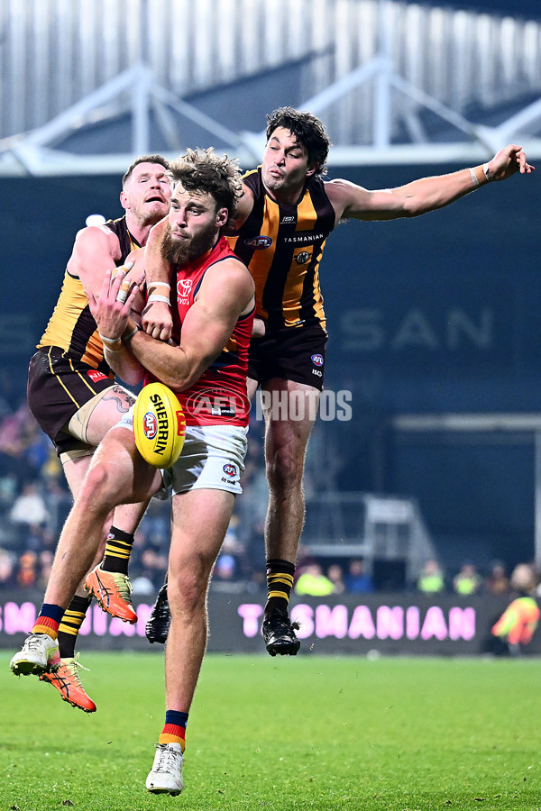 AFL 2025 Round 14 - Hawthorn v Adelaide - A-60012548