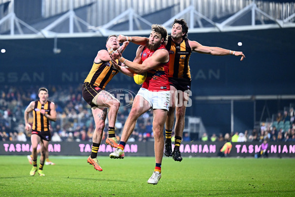 AFL 2025 Round 14 - Hawthorn v Adelaide - A-60012550
