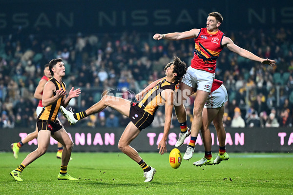 AFL 2025 Round 14 - Hawthorn v Adelaide - A-60012561