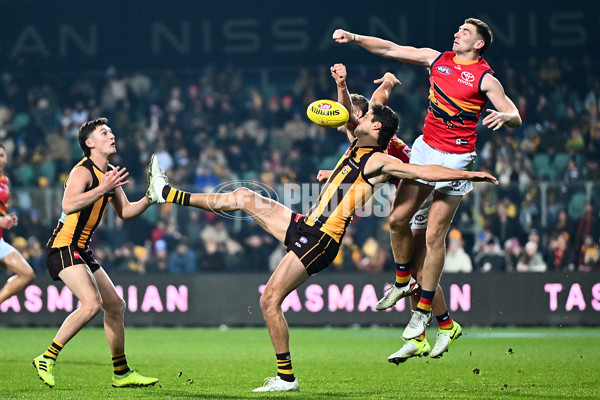 AFL 2025 Round 14 - Hawthorn v Adelaide - A-60012563