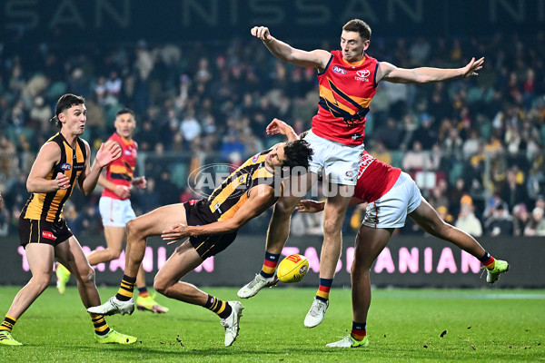 AFL 2025 Round 14 - Hawthorn v Adelaide - A-60012564