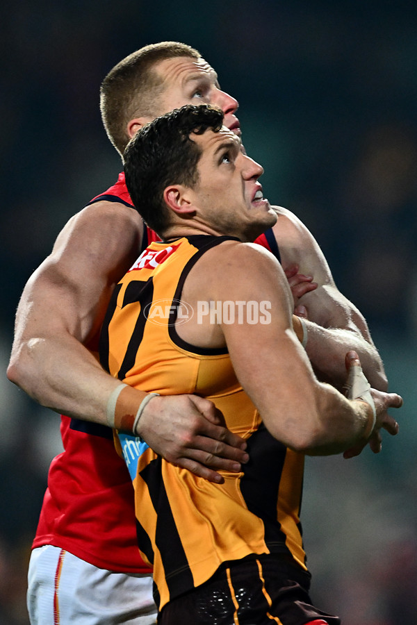 AFL 2025 Round 14 - Hawthorn v Adelaide - A-60015109