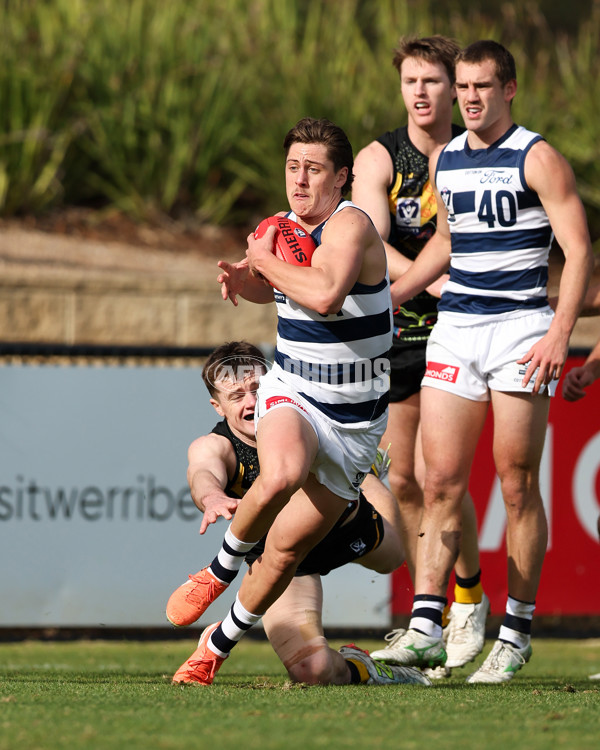 VFL 2025 Round 12 - Werribee v Geelong Cats - A-60015635