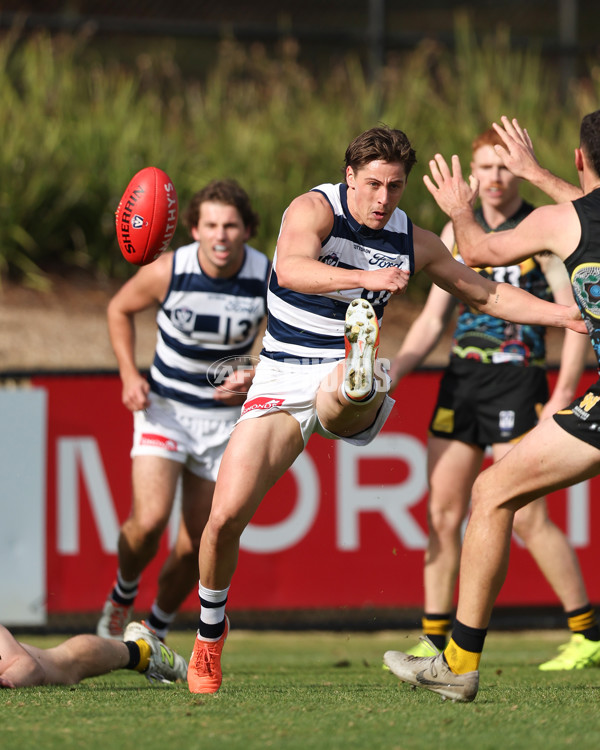 VFL 2025 Round 12 - Werribee v Geelong Cats - A-60015639