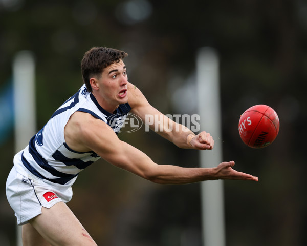VFL 2025 Round 12 - Werribee v Geelong Cats - A-60020471